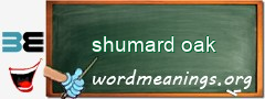WordMeaning blackboard for shumard oak